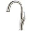 Odell 2-Function Pull-Down 1-Handle 1-Hole Kitchen Faucet, Spot Free Stainless