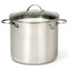 12 Qt Stockpot - Induction -Whole House Kitchenware 42a12588015f60df 9795 w800 h800 b1 p0