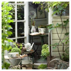 Portmeirion Botanic Garden Individual Covered Casserole 7 Portmeirion Botanic Garden Individual Covered Casserole -Whole House Kitchenware 7cb1479c01c329ef 6705 w800 h800 b0 p0