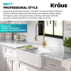 Britt 3-Function Pull-Down 1-Handle Kitchen Faucet BB (Model KPF-1691BB) -Whole House Kitchenware c4d1606300e5eac2 3222 w800 h800 b0 p0