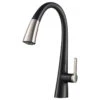 Nolen 2-Function Pull-Down 1-Handle 1-Hole Kitchen Faucet Spot Free Stainless MB