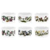 Portmeirion Botanic Garden 5-Ounce Ramekins, Set Of 6 -Whole House Kitchenware e131571001c2510c 5304 w800 h800 b1 p0