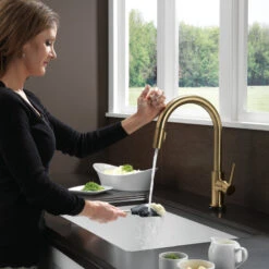 Delta Trinsic Pull-Down Kitchen Faucet With Touch2O Technology, Champagne Bronze -Whole House Kitchenware e7a1d3440cbf41e2 5457 w800 h800 b0 p0