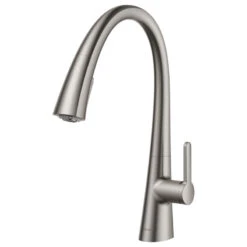 Nolen 2-Function Pull-Down 1-Handle 1-Hole Kitchen Faucet Spot Free Stainless
